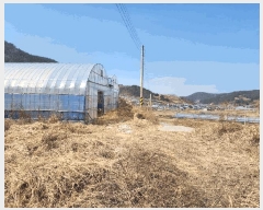  2025Ÿ51159   ȭ ̸ 477-1      (1)