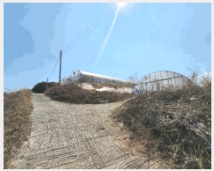  2025Ÿ51159   ȭ ̸ 477-1      (1)