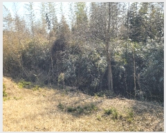  2025Ÿ51177  õ 浿 758       (1)