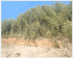  2025Ÿ51177  õ 浿 758       (1)