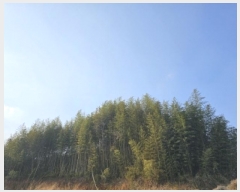  2025Ÿ51177  õ 浿 758       (1)