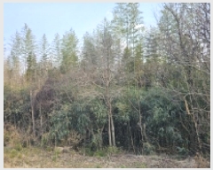  2025Ÿ51177  õ 浿 758       (1)