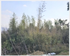  2025Ÿ51177  õ 浿 758       (1)