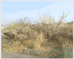  2025Ÿ��51183 ���� ������ ��õ�� 248       ����(��)���