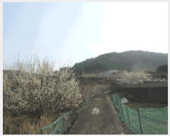  2025Ÿ��51183 ���� ������ ��õ�� 248       ����(��)���