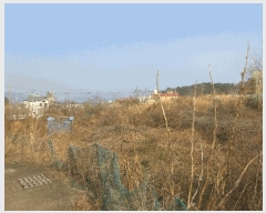  2025Ÿ��51183 ���� ������ ��õ�� 248       ����(��)���