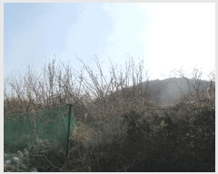  2025Ÿ��51183 ���� ������ ��õ�� 248       ����(��)���