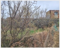  2025Ÿ��51183 ���� ������ ��õ�� 248       ����(��)���