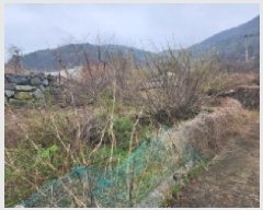  2025Ÿ��51183 ���� ������ ��õ�� 248       ����(��)���