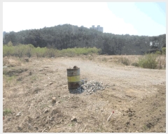  2025Ÿ��51243  ����