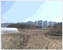  2025Ÿ��51243  ����