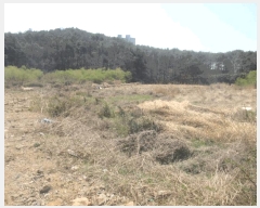  2025Ÿ��51243  ����