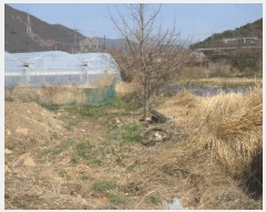  2025Ÿ��51243  ����