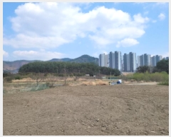  2025Ÿ��51243  ����