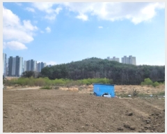  2025Ÿ��51243  ����