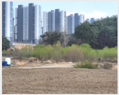  2025Ÿ��51243  ����