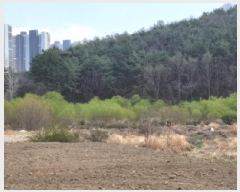  2025Ÿ��51243  ����