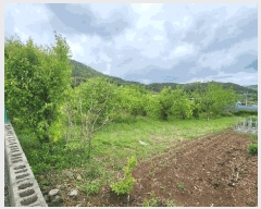  2025Ÿ51400   Ҷ õ 759      (1)