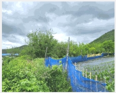  2025Ÿ51400   Ҷ õ 759      (1)