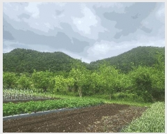  2025Ÿ51400   Ҷ õ 759      (1)