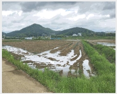  2025Ÿ51400   Ҷ õ 759      (1)