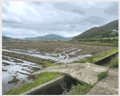  2025Ÿ51400   Ҷ õ 759      (1)