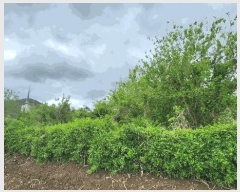  2025Ÿ51400   Ҷ õ 759      (1)