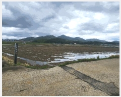  2025Ÿ51400   Ҷ õ 759      (1)