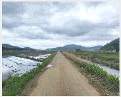  2025Ÿ51400   Ҷ õ 759      (1)