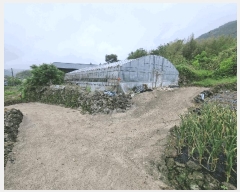  2025Ÿ51496  ﱺ ϸ 渮 486      ()