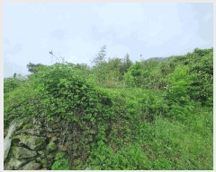  2025Ÿ51496  ﱺ ϸ 渮 486      ()