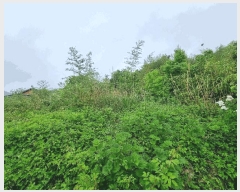  2025Ÿ51496  ﱺ ϸ 渮 486      ()