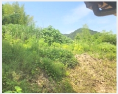  2025Ÿ51496  ﱺ ϸ 渮 486      ()