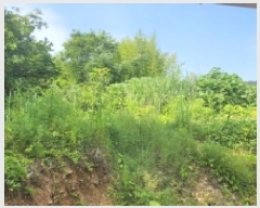  2025Ÿ51496  ﱺ ϸ 渮 486      ()