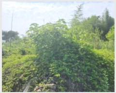  2025Ÿ51496  ﱺ ϸ 渮 486      ()