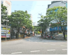  2025Ÿ��51526  ����Ʈ���