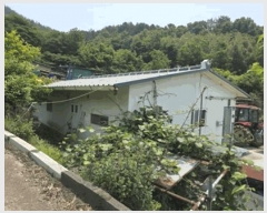  2025Ÿ��51532  ���(�󰡽ü�)���