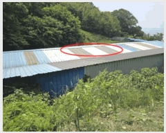  2025Ÿ��51532  ���(�󰡽ü�)���