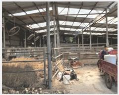  2025Ÿ��51532  ���(�󰡽ü�)���