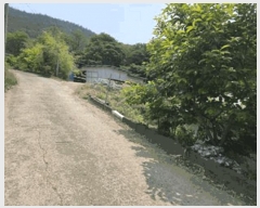  2025Ÿ��51532  ���(�󰡽ü�)���