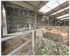  2025Ÿ��51532  ���(�󰡽ü�)���