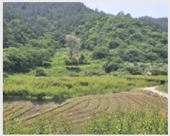  2025Ÿ��51538 ���� ��õ�� Ȳ���� ������ 339      ����(��)���