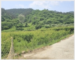  2025Ÿ��51538 ���� ��õ�� Ȳ���� ������ 339      ����(��)���