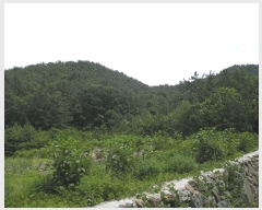  2025Ÿ��51568 ���� ������ ȭ��� ���̸� 956      ����(��1)���