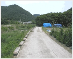  2025Ÿ��51568 ���� ������ ȭ��� ���̸� 956      ����(��1)���