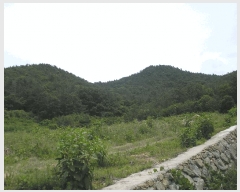  2025Ÿ��51568 ���� ������ ȭ��� ���̸� 956      ����(��1)���