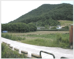  2025Ÿ��51568 ���� ������ ȭ��� ���̸� 956      ����(��1)���