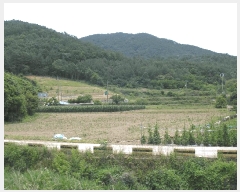  2025Ÿ��51568 ���� ������ ȭ��� ���̸� 956      ����(��1)���