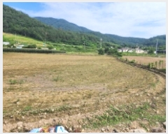  2025Ÿ��51568 ���� ������ ȭ��� ���̸� 956      ����(��1)���