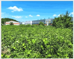  2025Ÿ��51664  ����������